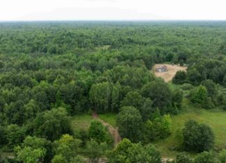 40+/- Acres with Hunting Cabin – Town of Finley, Juneau County, Wisconsin