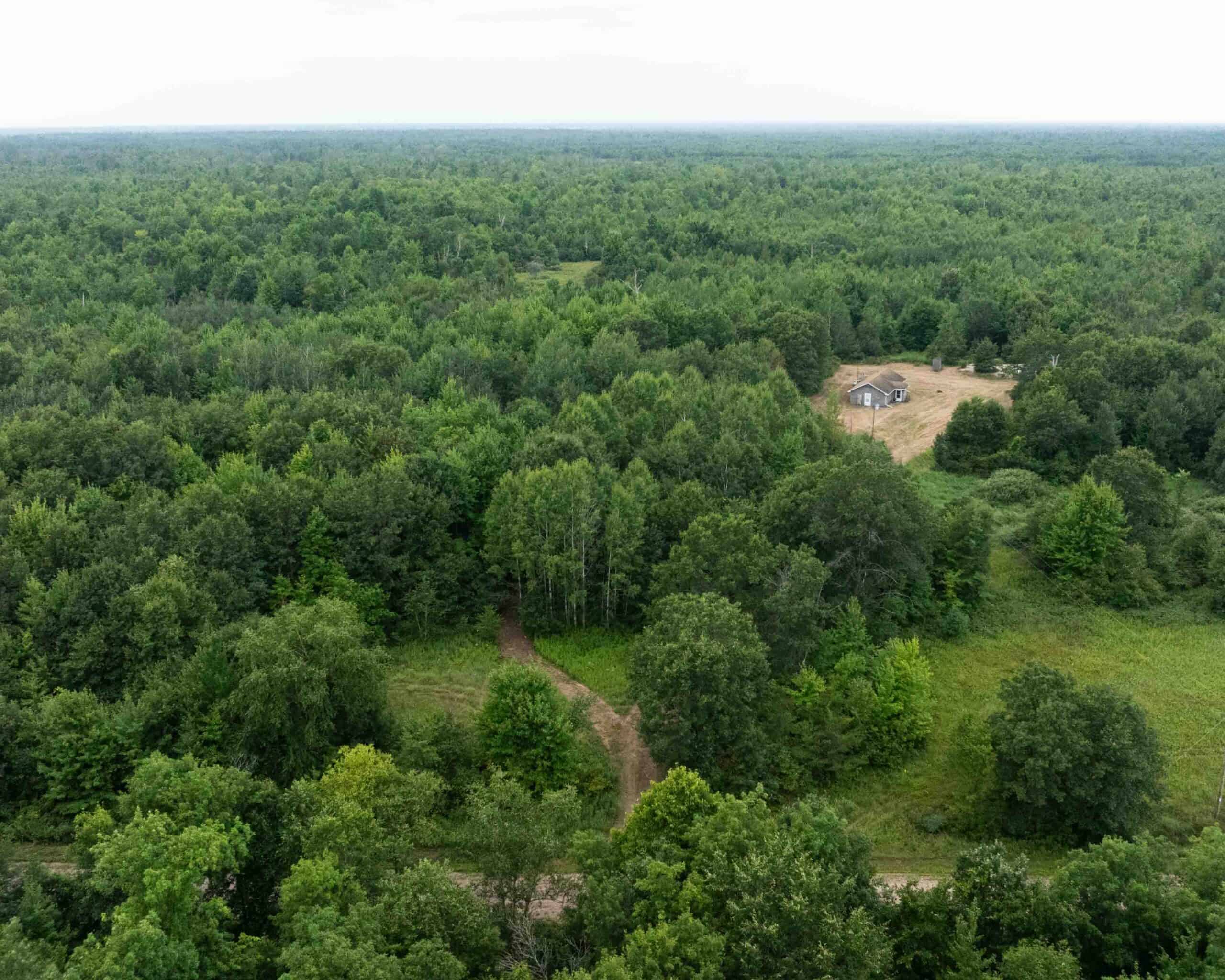40+/- Acres with Hunting Cabin – Town of Finley, Juneau County, Wisconsin