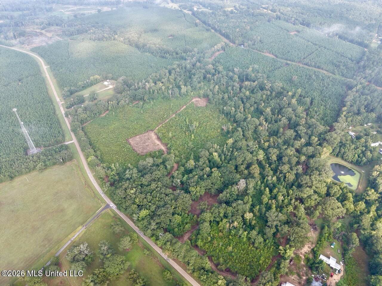 82± Acre Hunting Property in Wilkinson County, MS