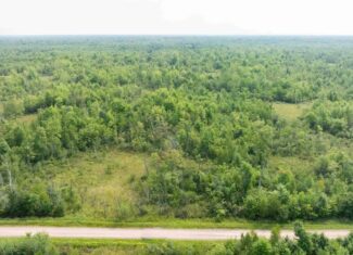40+/- acres of recreational and hunting land in the Town of Finley, Juneau County