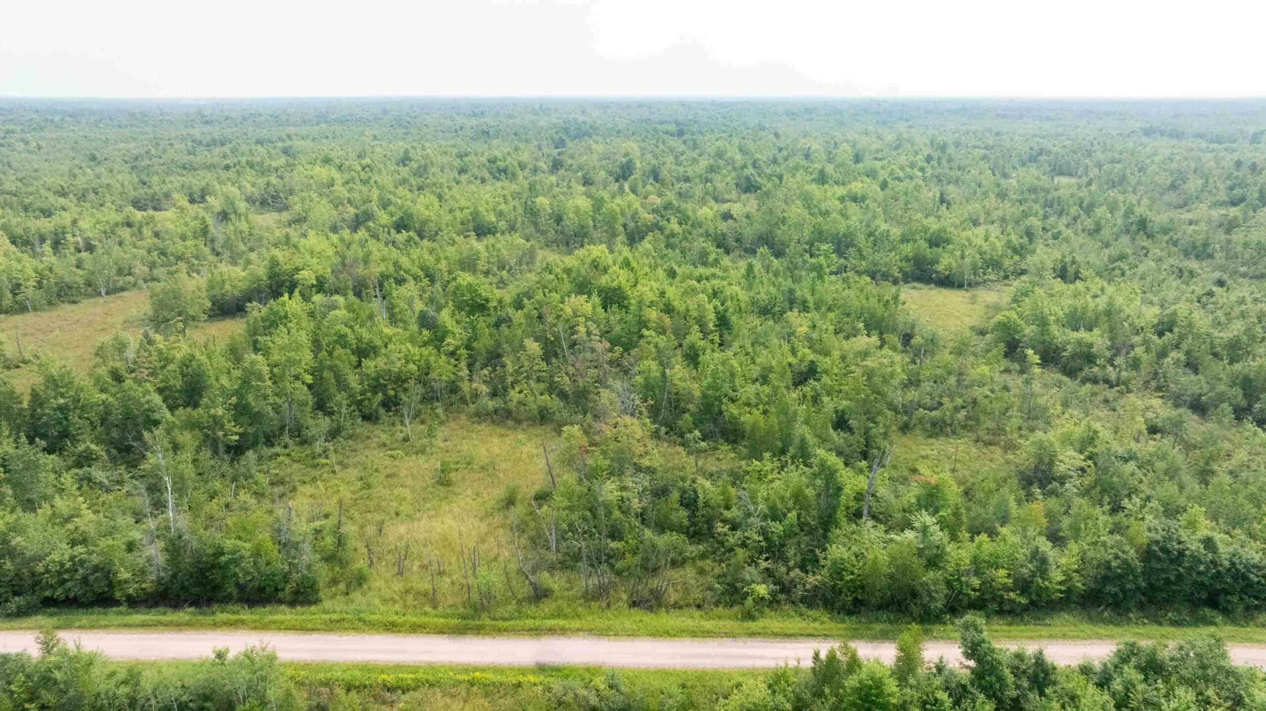 40+/- acres of recreational and hunting land in the Town of Finley, Juneau County