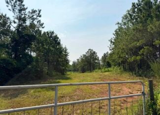 Discover an outstanding 130-acre recreational and hunting property in Stewart Cty