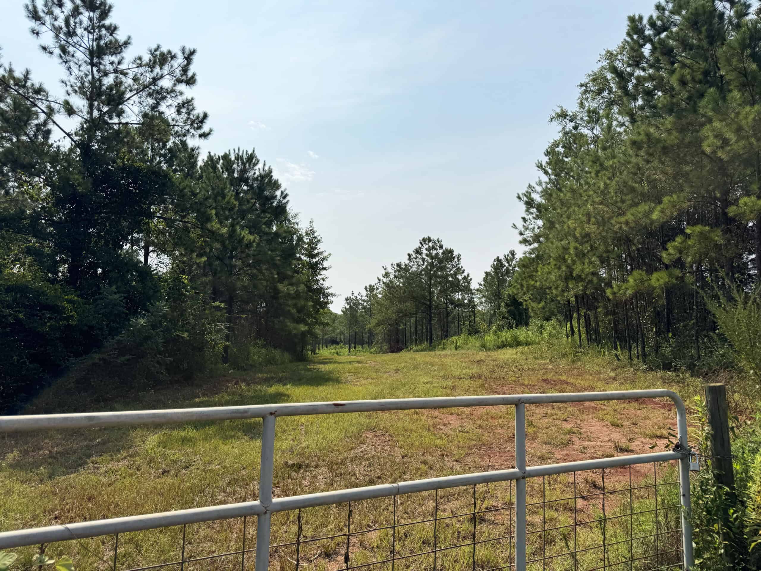 Discover an outstanding 130-acre recreational and hunting property in Stewart Cty