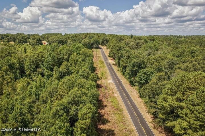 31 Acres for Sale Near Collins MS | Mature Timber & Hunting