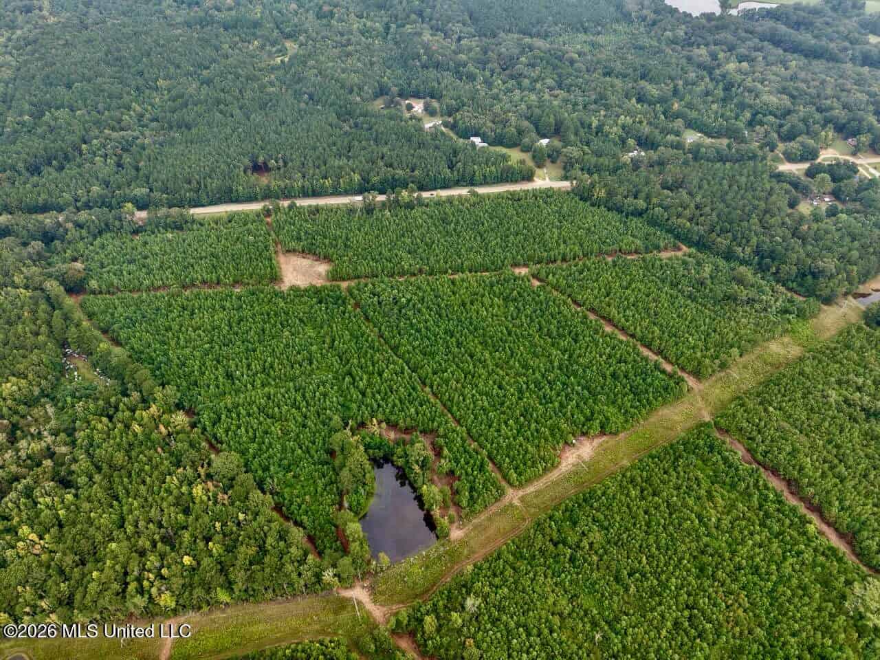 53± Acre Hunting Property Near Centreville, MS