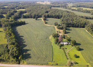 ESTATE FOR SALE IN TN, 56 AC, DEER & TURKEY HUNTING, CREEK, FIELDS, BARN