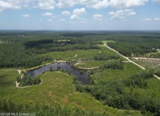 66 Acres Vancleave MS with Pond