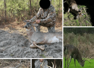 90± Acre Hunting Tract for Sale in Meadville, MS