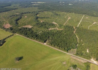50± Acre Homesite & Hunting Land in Plainview, LA