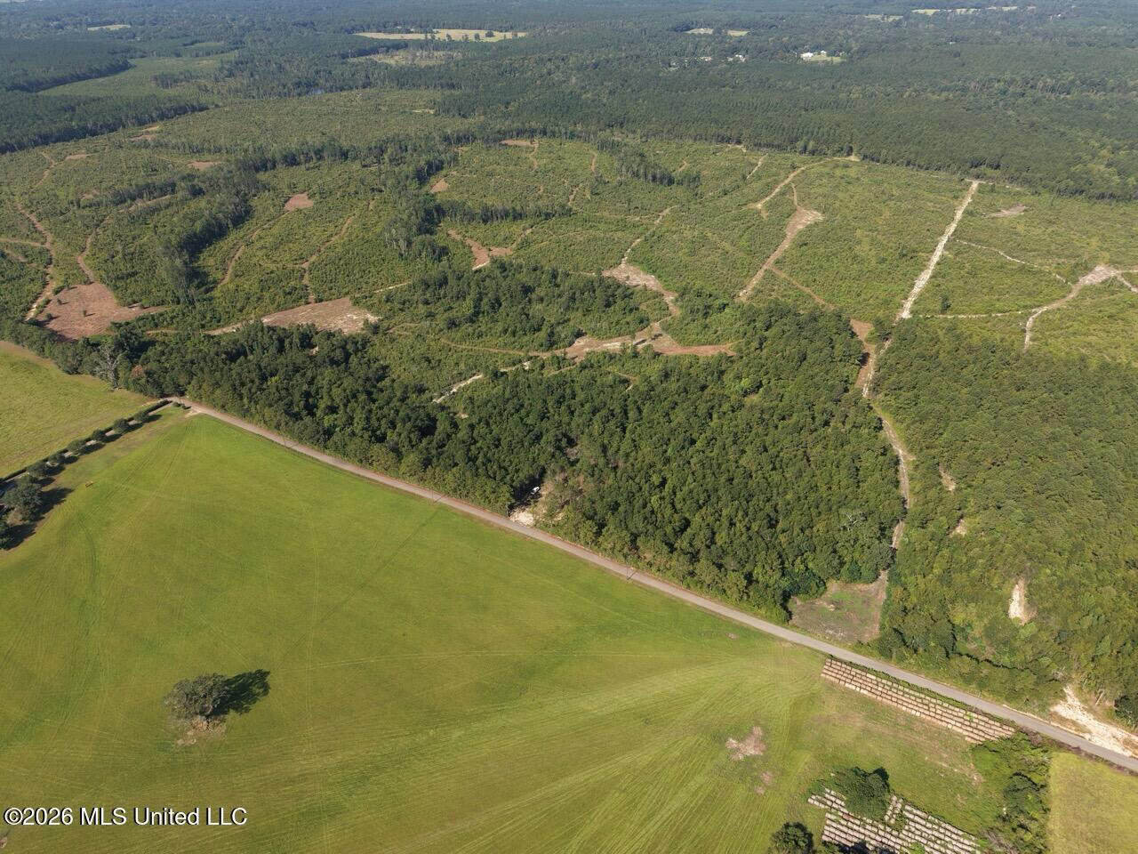 50± Acre Homesite & Hunting Land in Plainview, LA