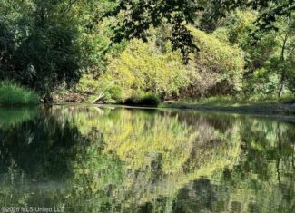 150 Acres for Sale in Magnolia MS on Tangipahoa River