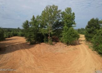 90± Acre Hunting Tract for Sale in Meadville, MS