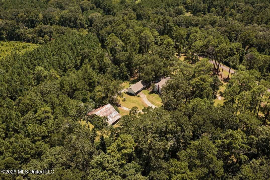 20 Acres for Sale Magnolia MS with Barn & Mature Timber