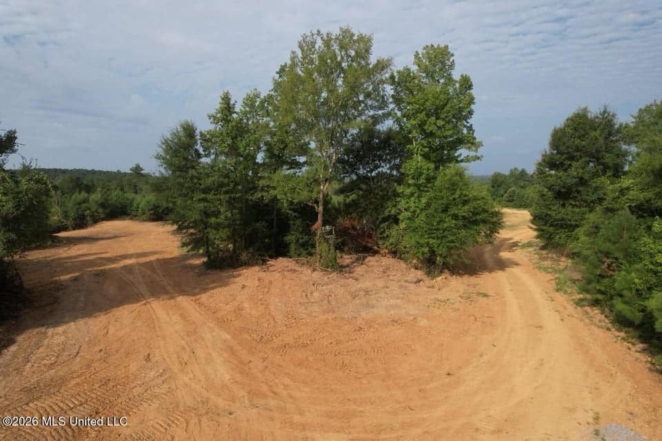 90± Acre Hunting Tract for Sale in Meadville, MS