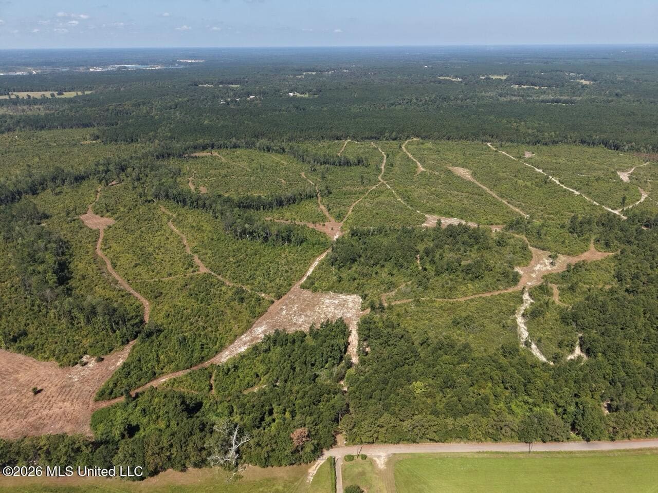 42± Acre Homesite & Hunting Land in Plainview, LA