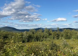 11.48 Acre Parcel with Mountain Views – Temple, Maine
