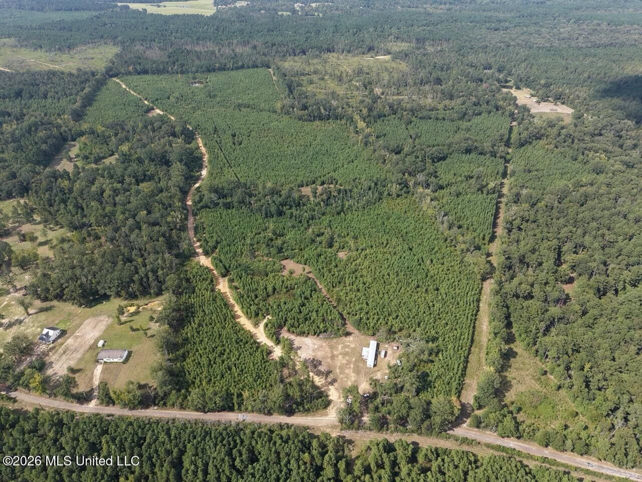 85± Acre Turnkey Hunting Property in Amite County, MS