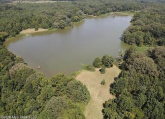 81-Acre Timber Property on 20-Acre Lake in Vaughan, MS