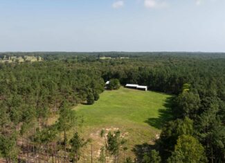 East TX Hunting Land for Sale | 327 Acres | River & Duck Slough | Laneville TX
