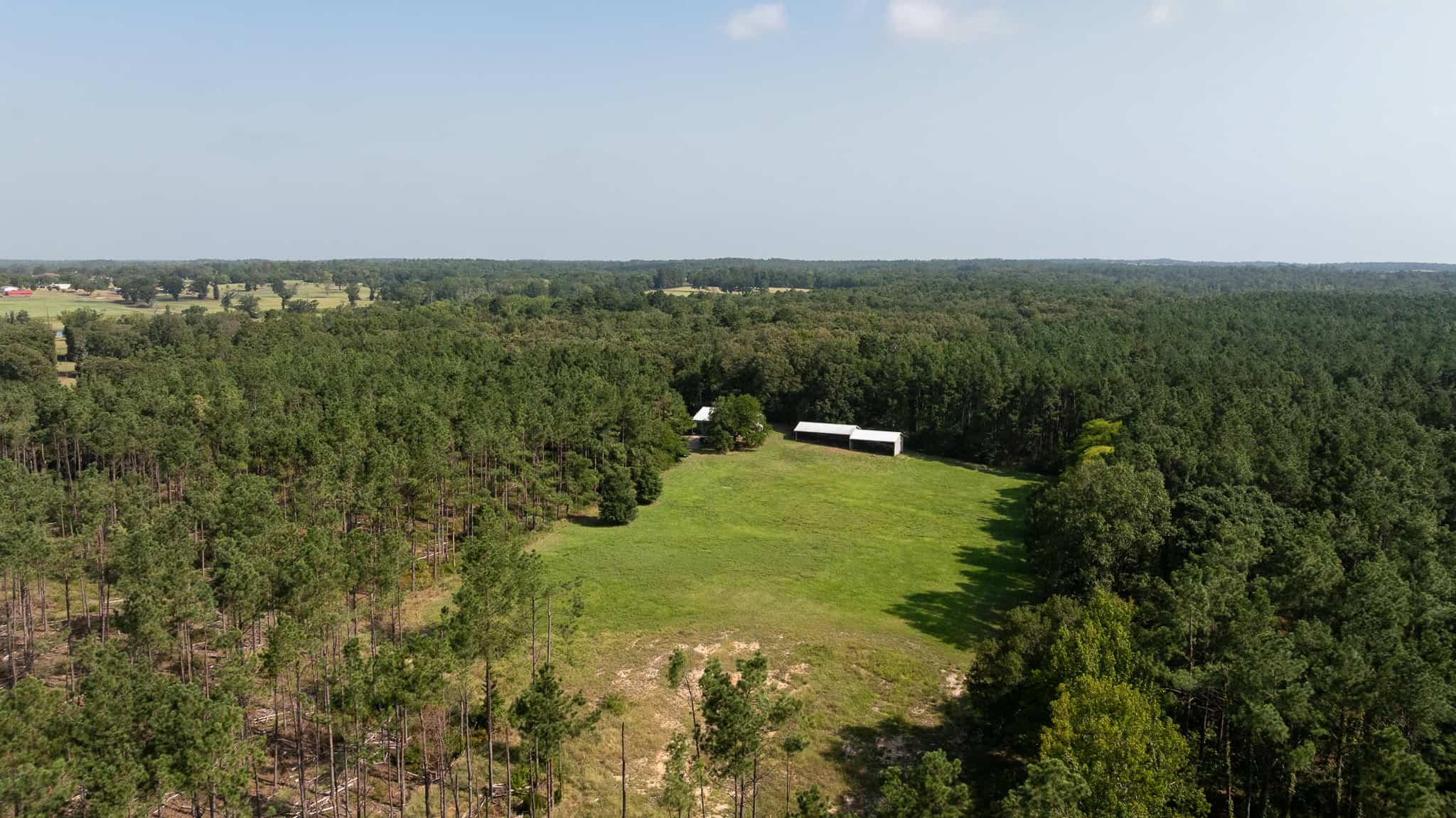 East TX Hunting Land for Sale | 327 Acres | River & Duck Slough | Laneville TX