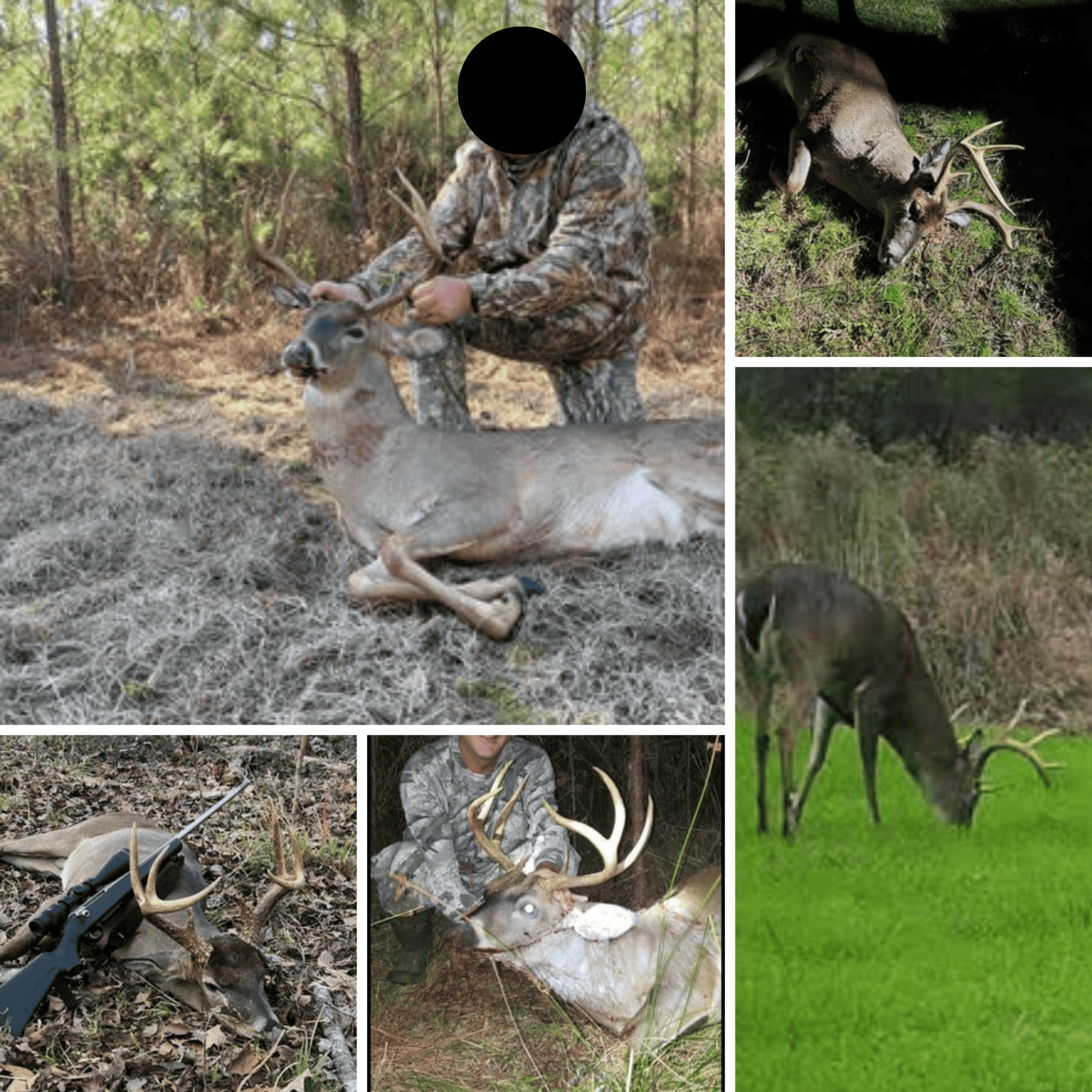 90± Acre Hunting Tract for Sale in Meadville, MS