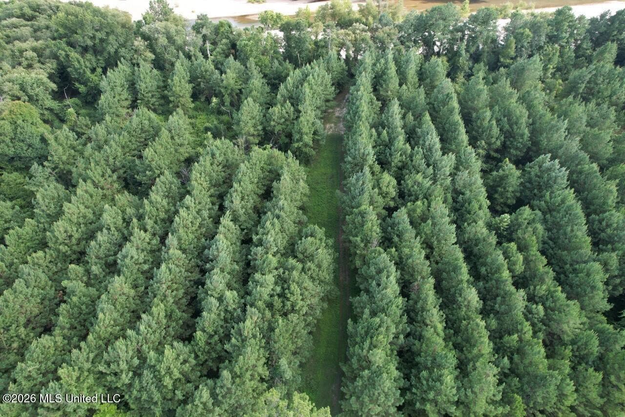 82± Acre Hunting Tract in Meadville, MS