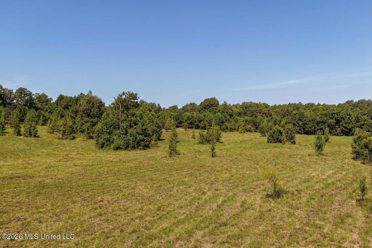 52.25± Acres in Copiah County, MS Near Hazlehurst