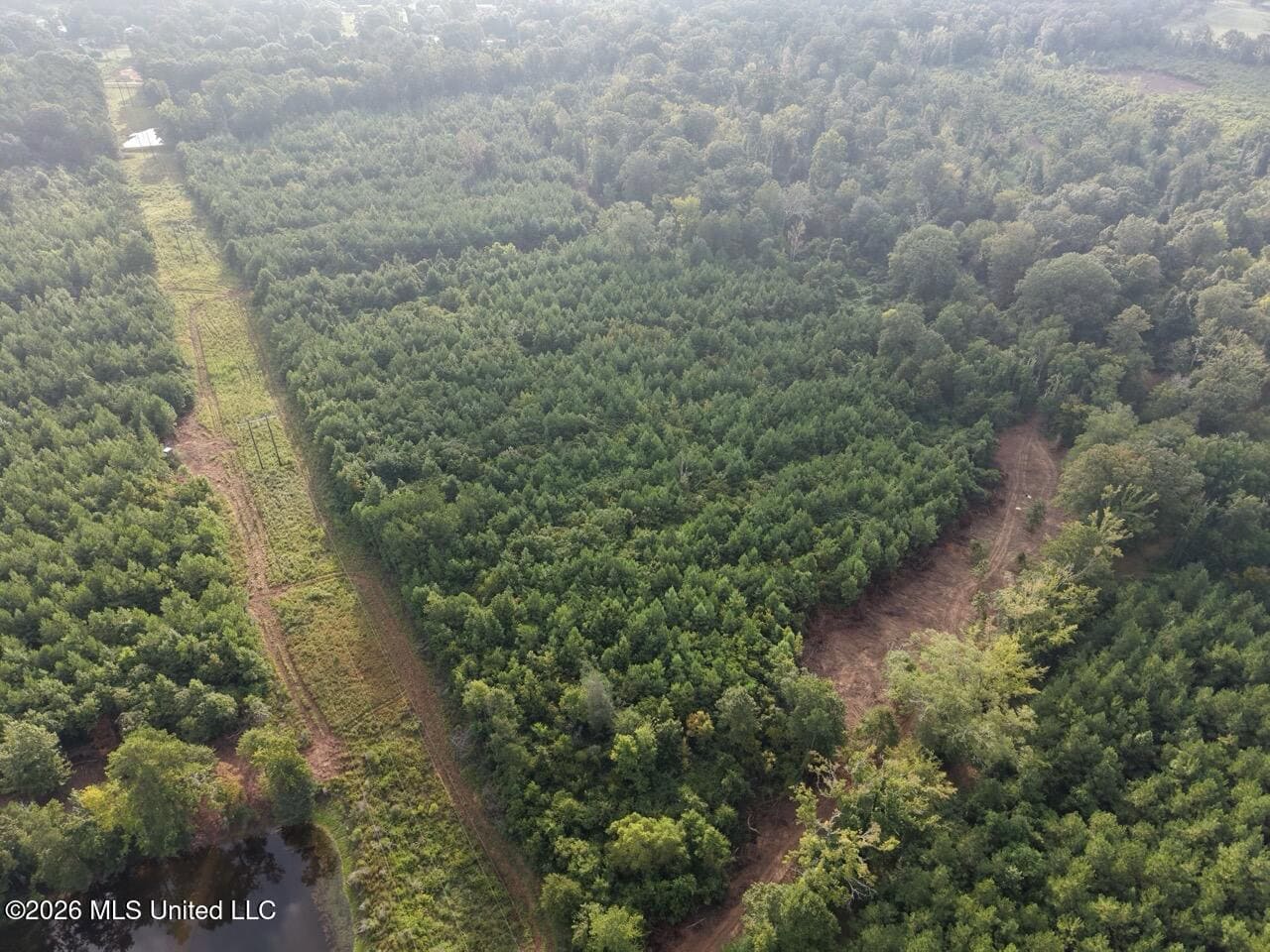 82± Acre Hunting Property in Wilkinson County, MS