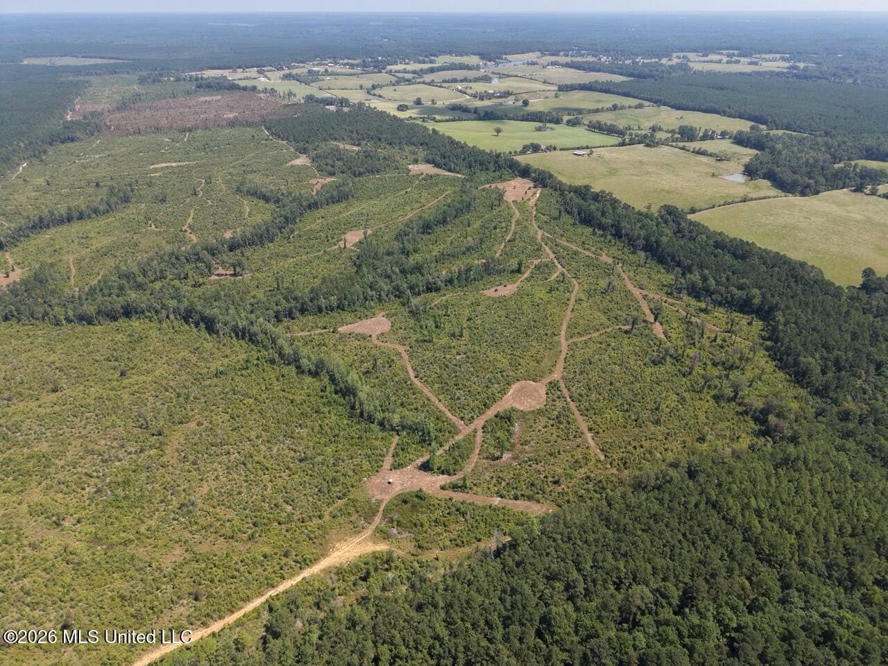 147± Acre Hunting Property in Plainview, LA