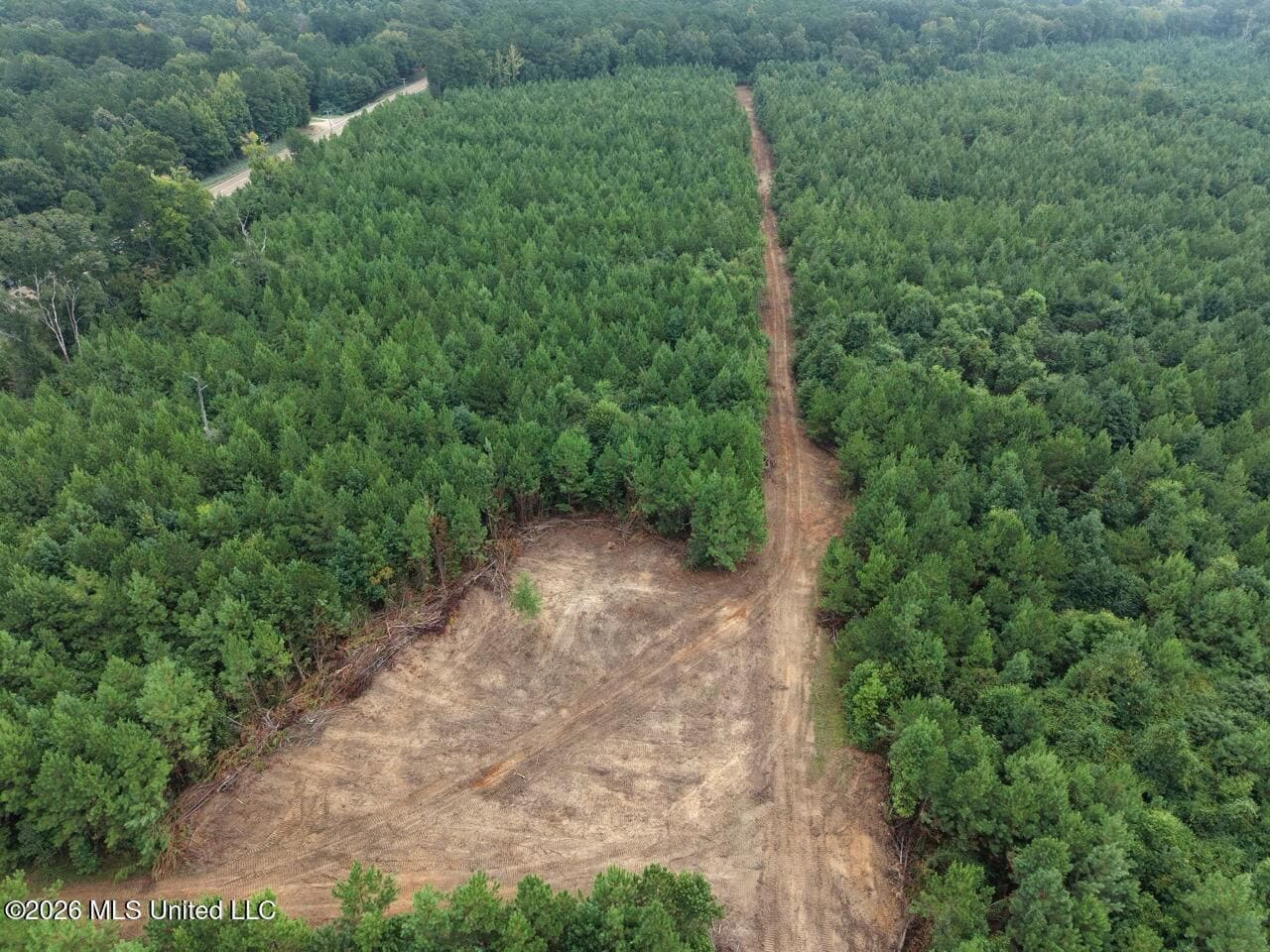 53± Acre Hunting Property Near Centreville, MS