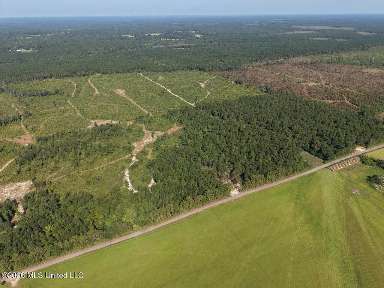 50± Acre Homesite & Hunting Land in Plainview, LA
