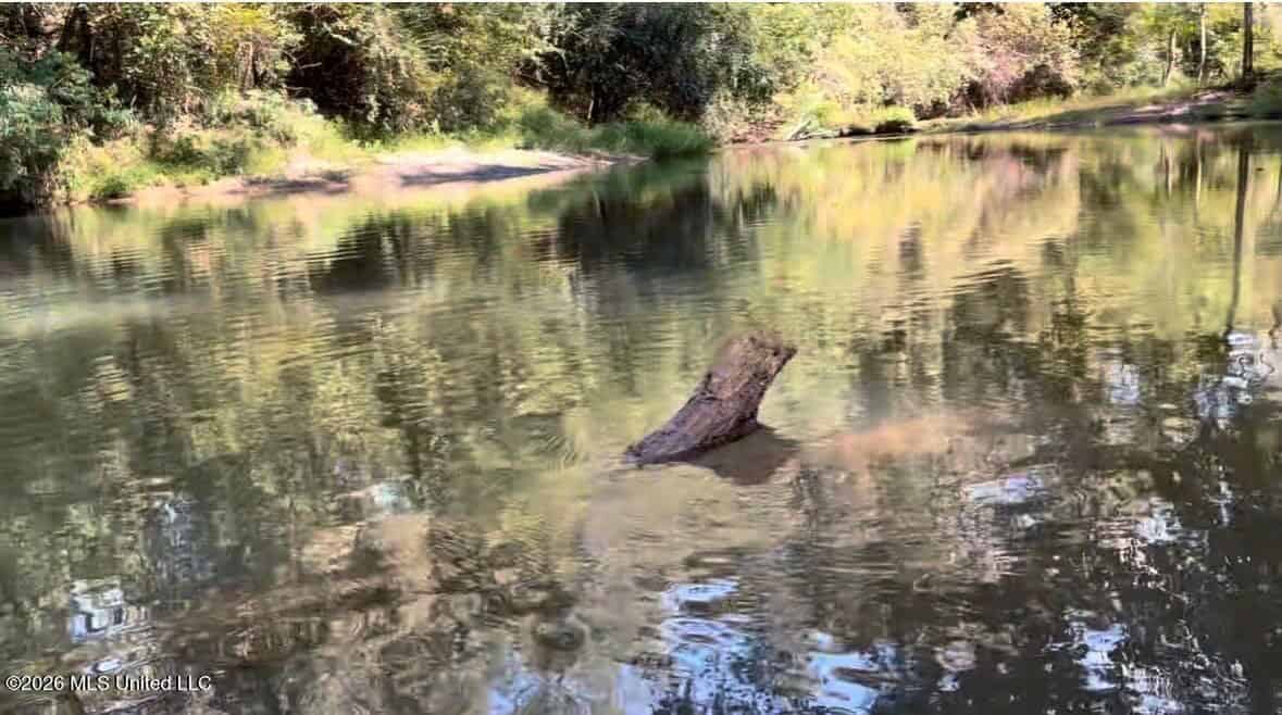 150 Acres for Sale in Magnolia MS on Tangipahoa River