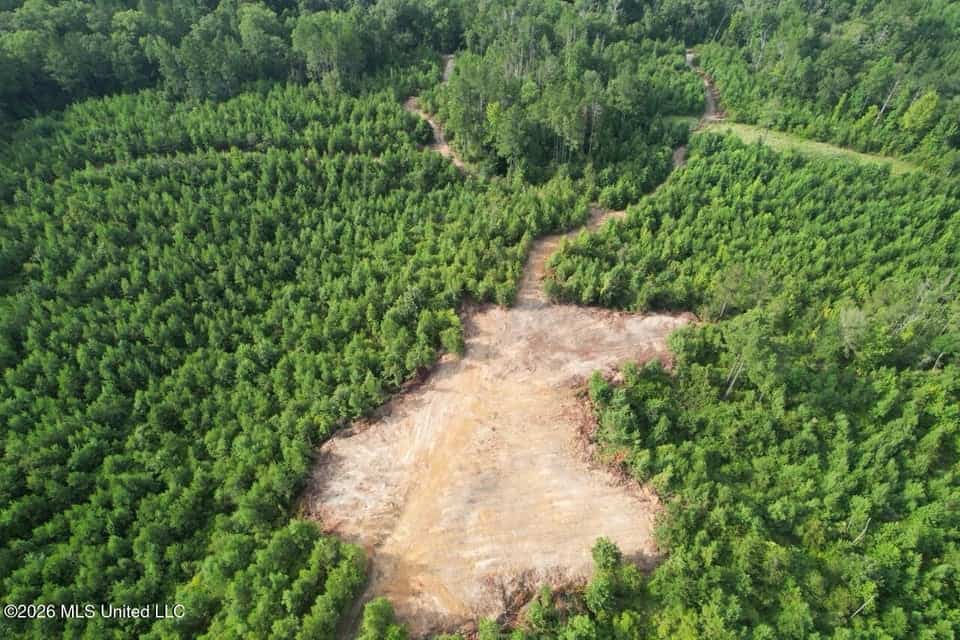 90± Acre Hunting Tract for Sale in Meadville, MS