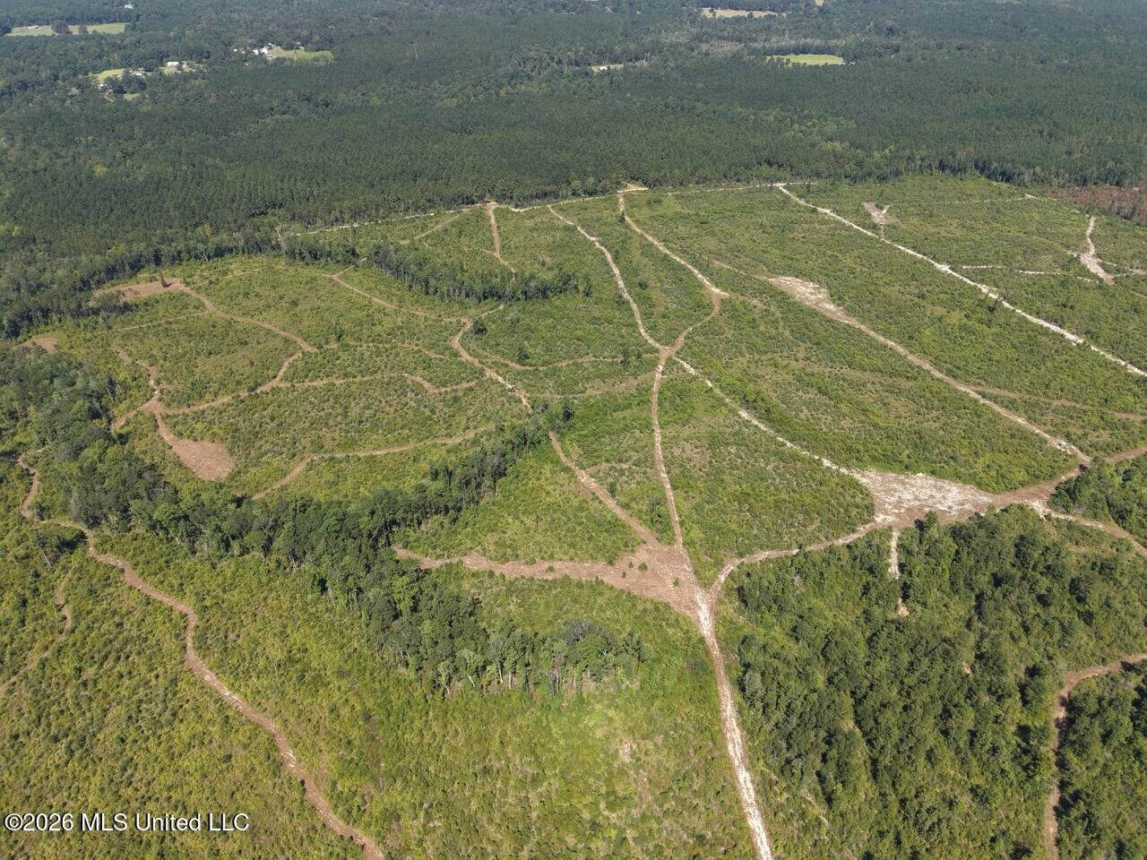 42± Acre Homesite & Hunting Land in Plainview, LA