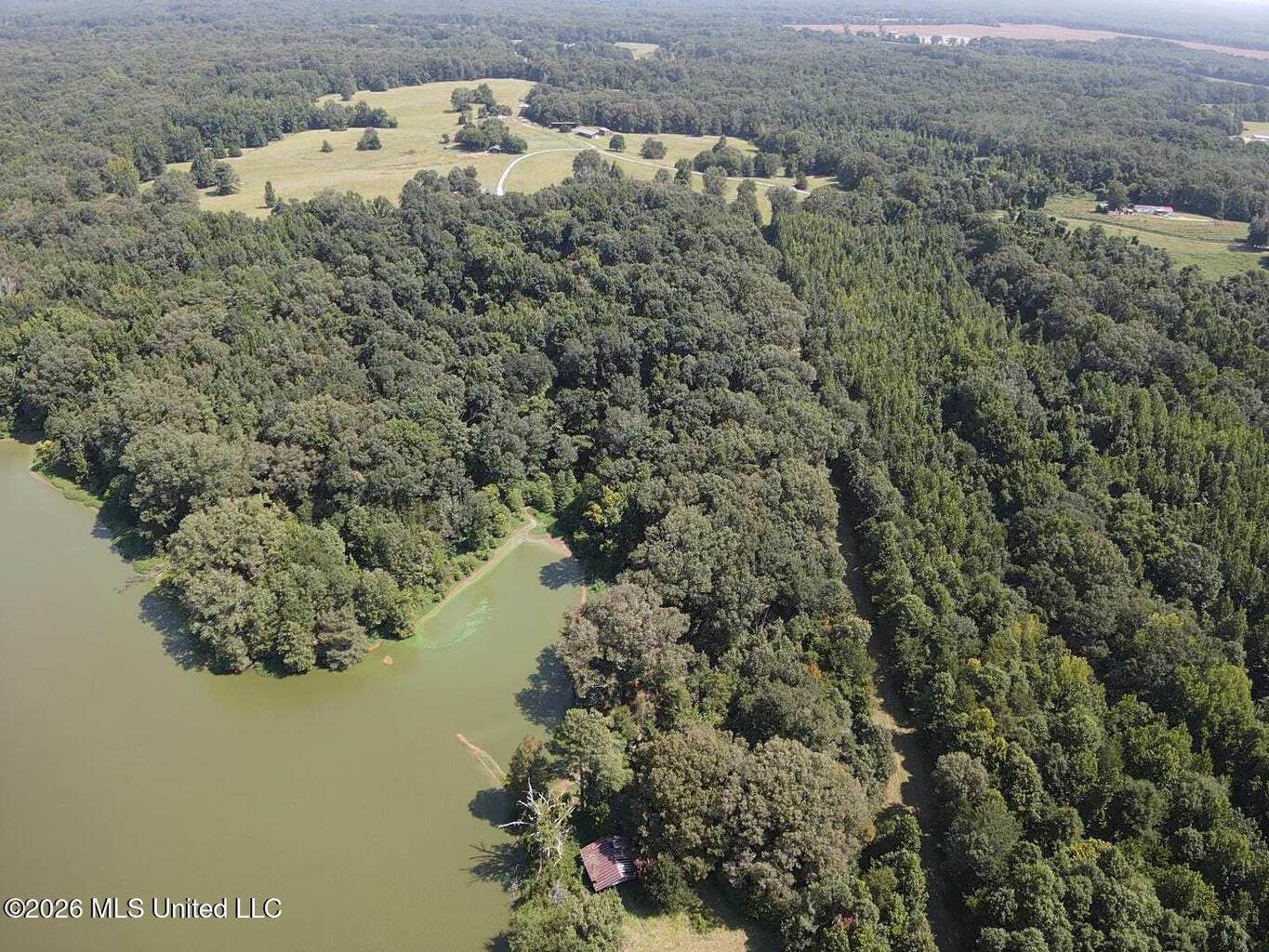 81-Acre Timber Property on 20-Acre Lake in Vaughan, MS