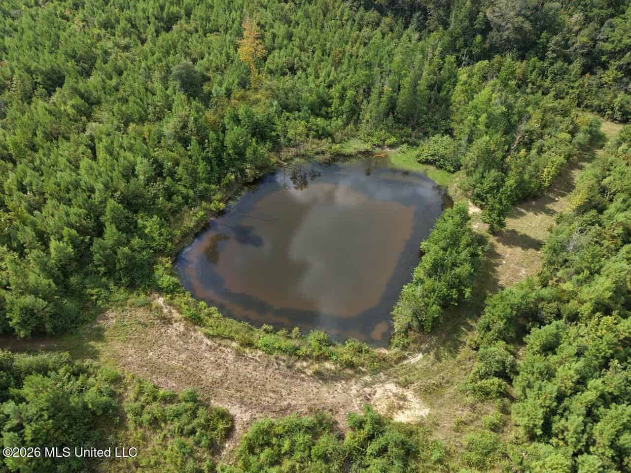 85± Acre Turnkey Hunting Property in Amite County, MS