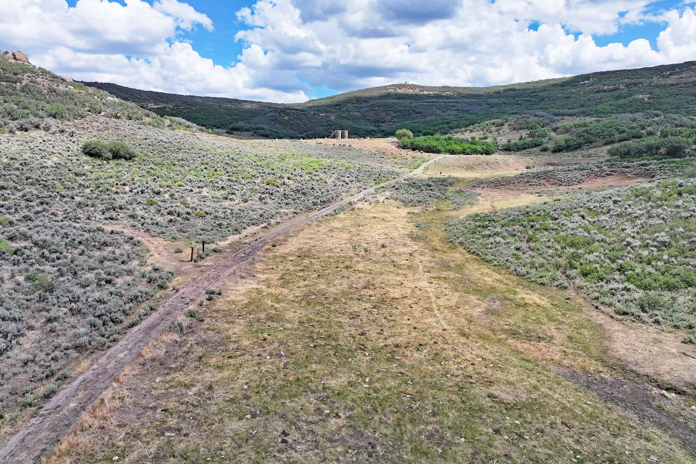35 Acres Borders Public Land near Collbran, CO