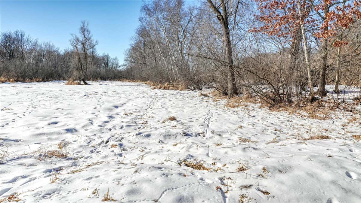 68± Acres of Timber, Water & Recreation | Monroe County, Wisconsin