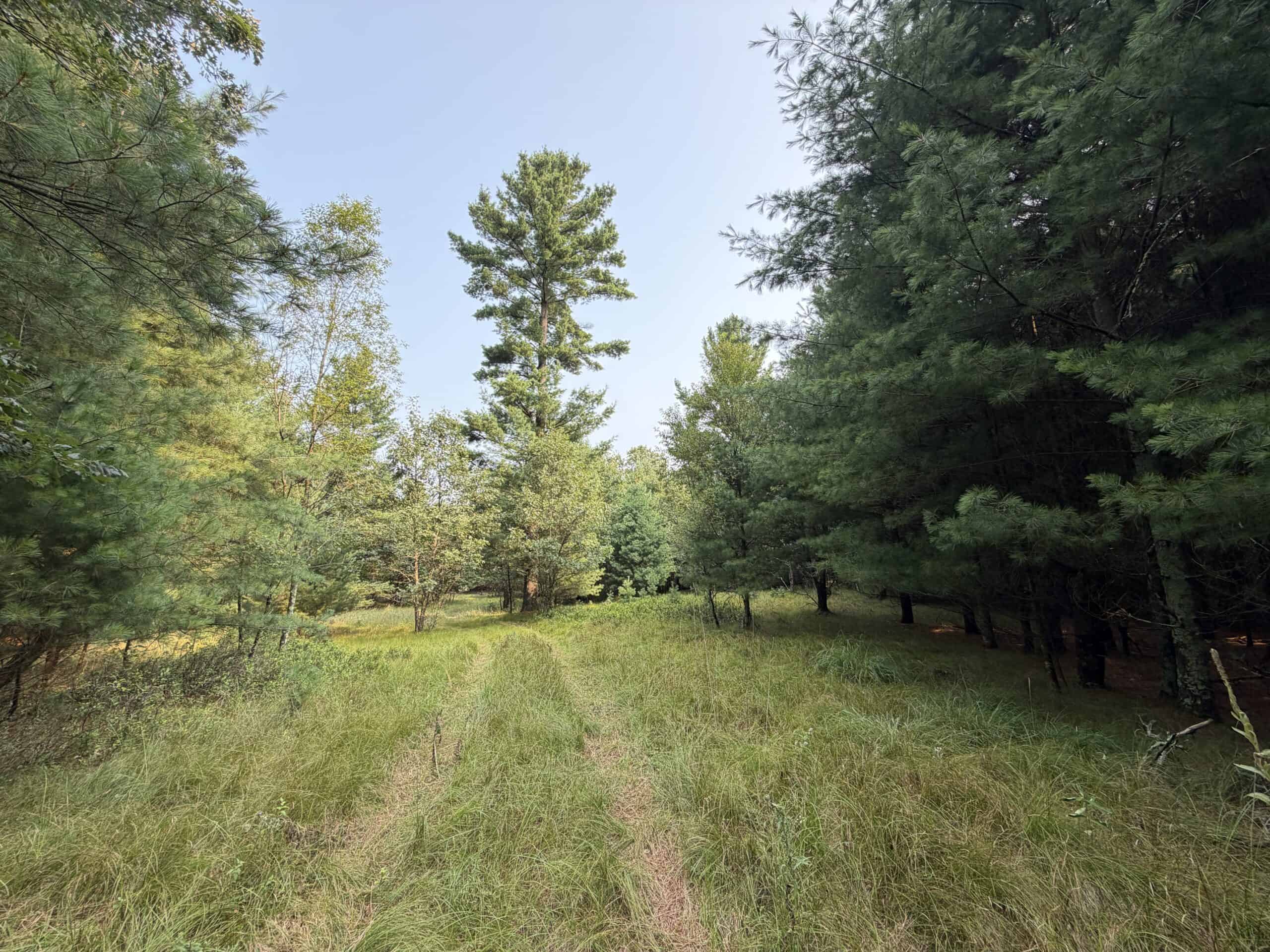 Rare opportunity to own 17.54 wooded acres within the City of Adams