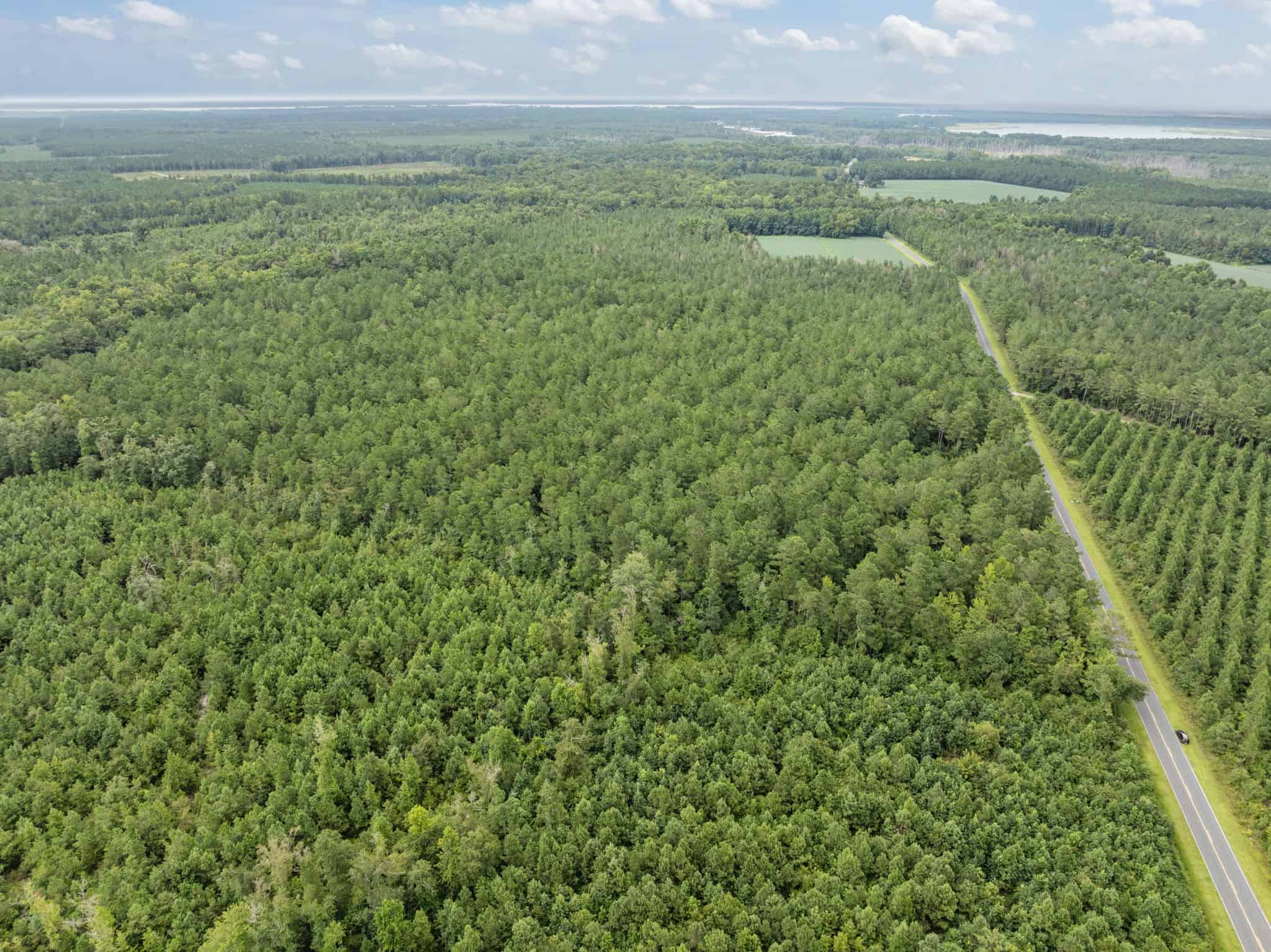 42-Acre Timber & Hunting Land for Sale in Edward, NC