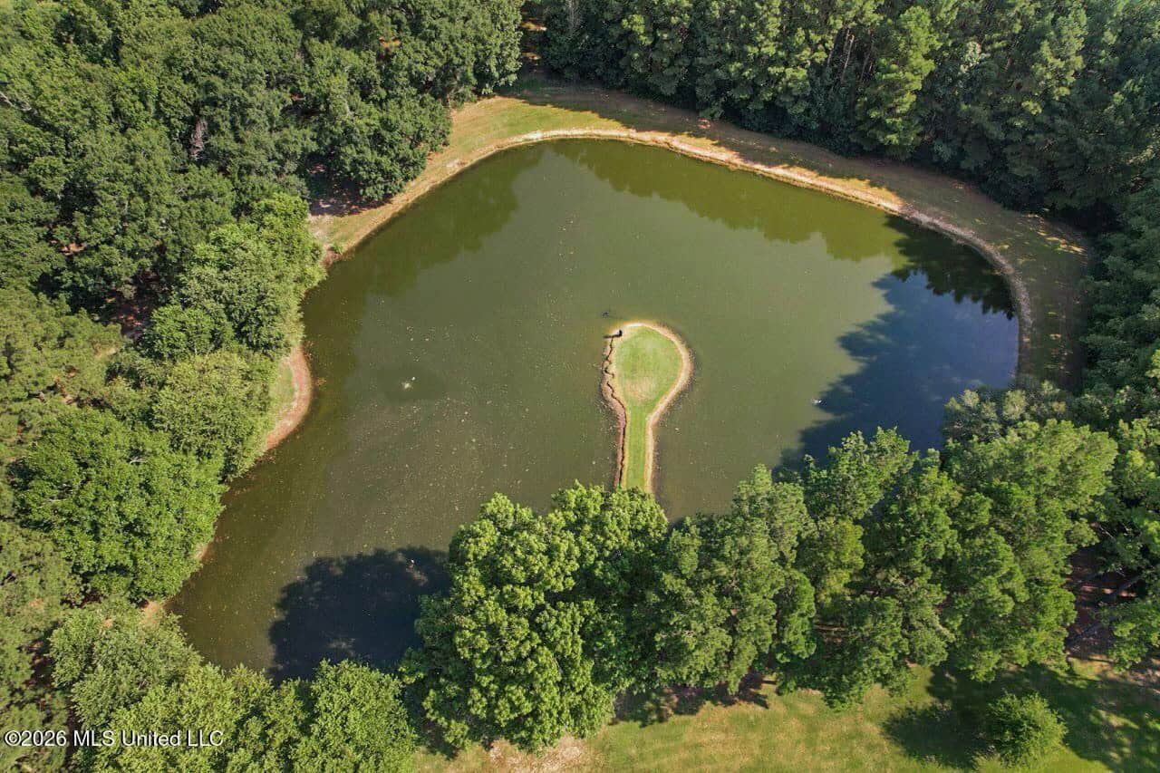 85± Acre Luxury Estate in Poplarville, MS