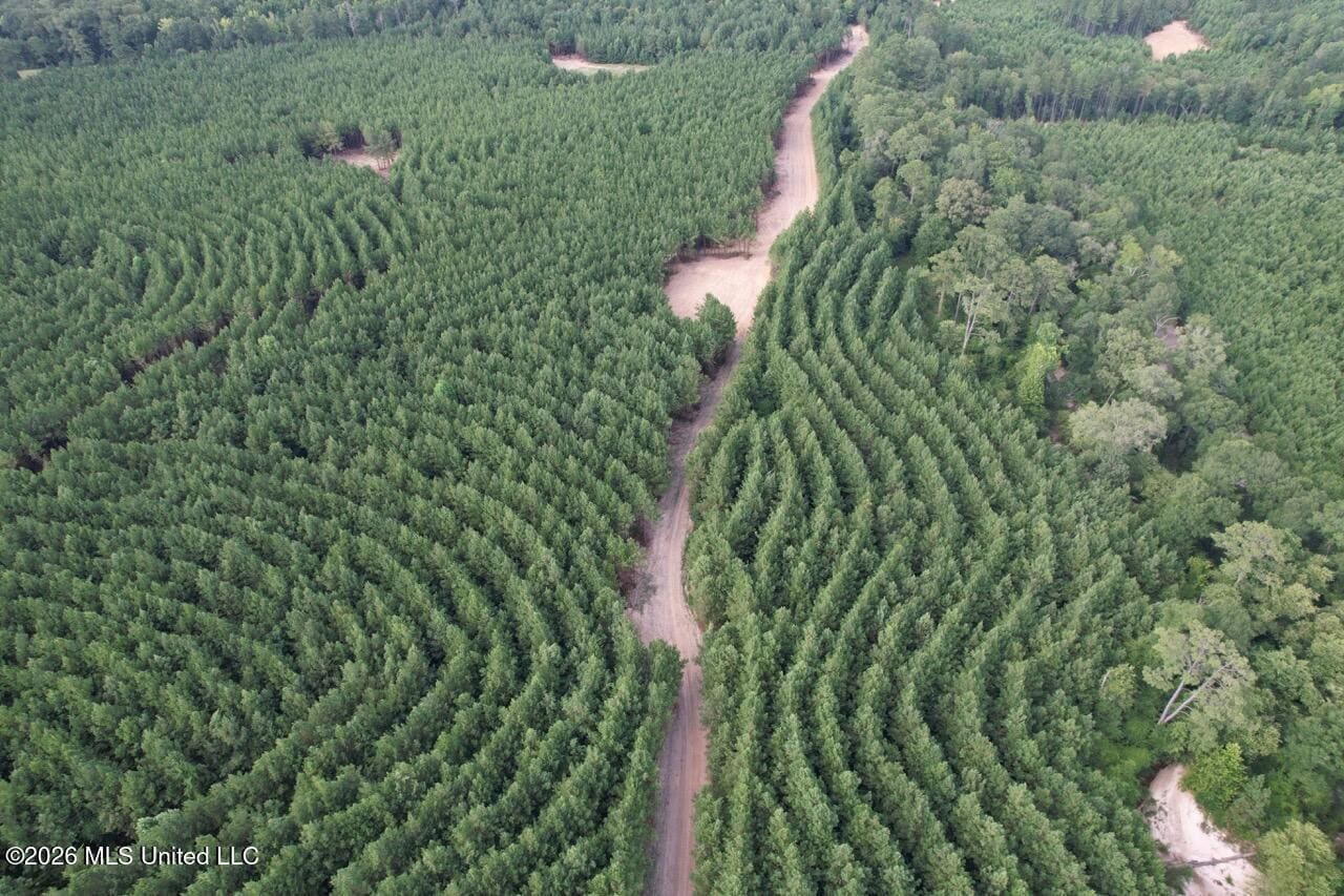 82± Acre Hunting Tract in Meadville, MS