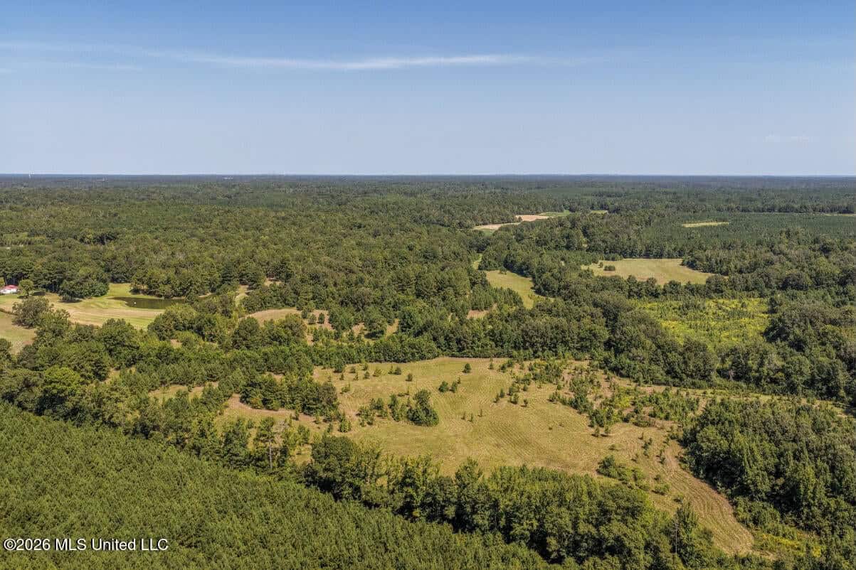 52.25± Acres in Copiah County, MS Near Hazlehurst