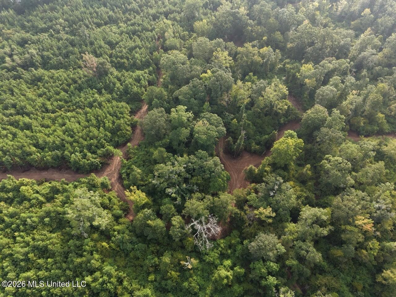 82± Acre Hunting Property in Wilkinson County, MS