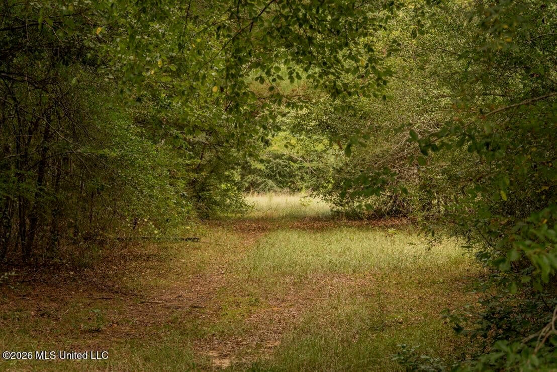HWY 49 Land for Sale Simpson County, MS