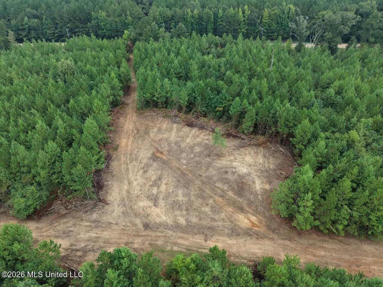 53± Acre Hunting Property Near Centreville, MS
