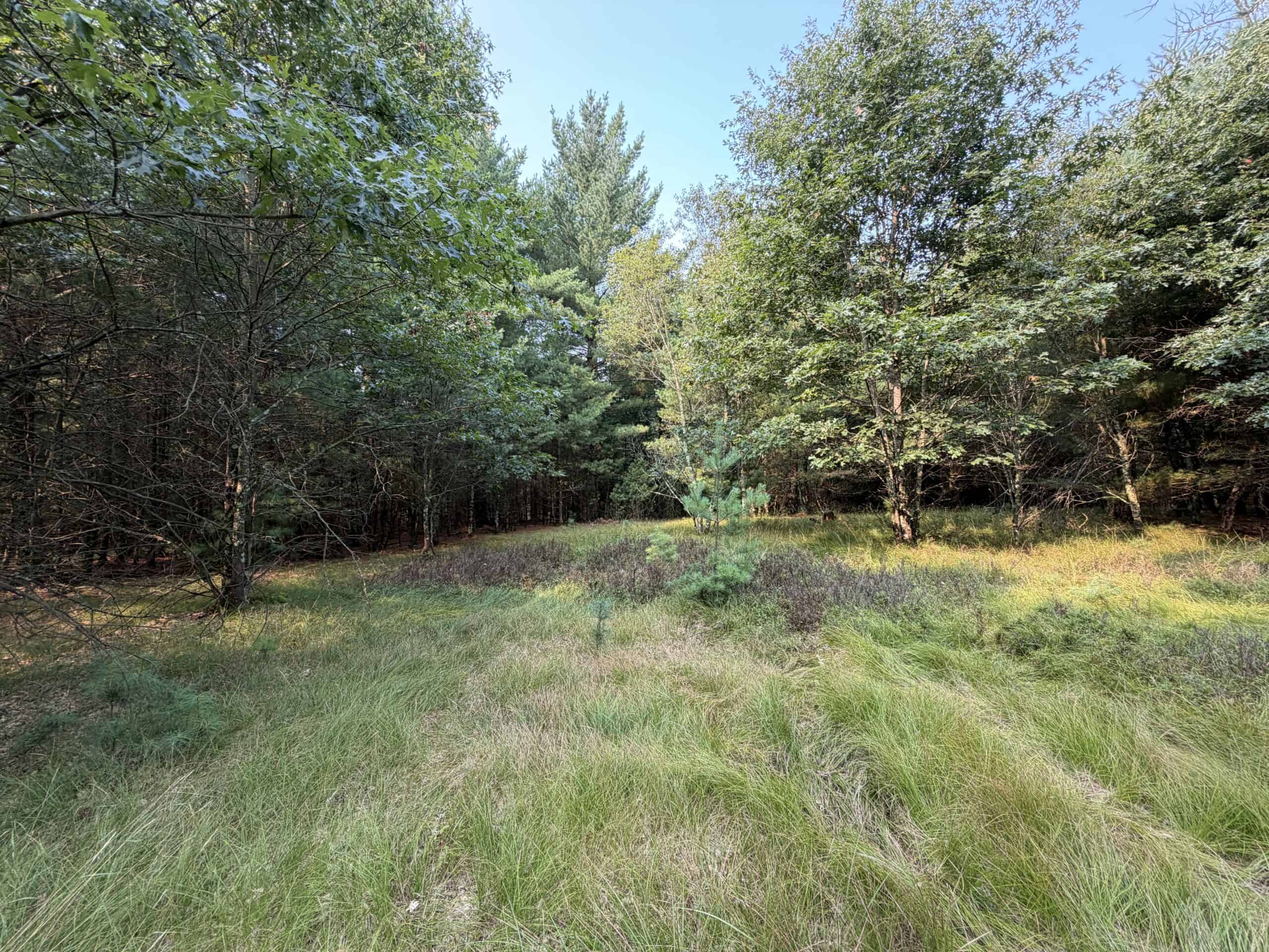 Rare opportunity to own 17.54 wooded acres within the City of Adams
