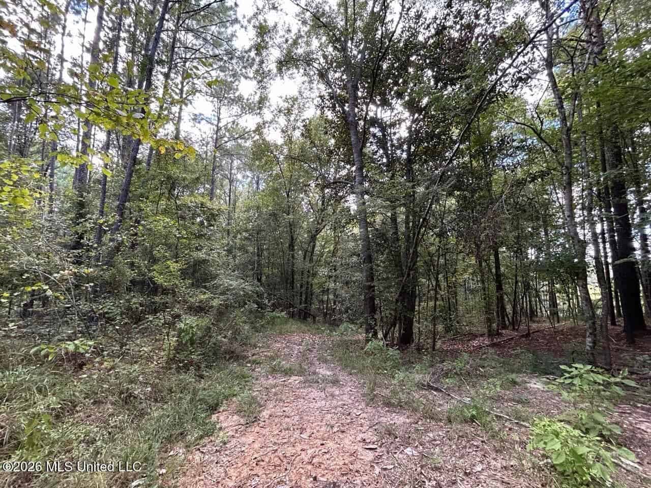 FRANKLIN COUNTY LAND FOR SALE NEAR McCALL CREEK