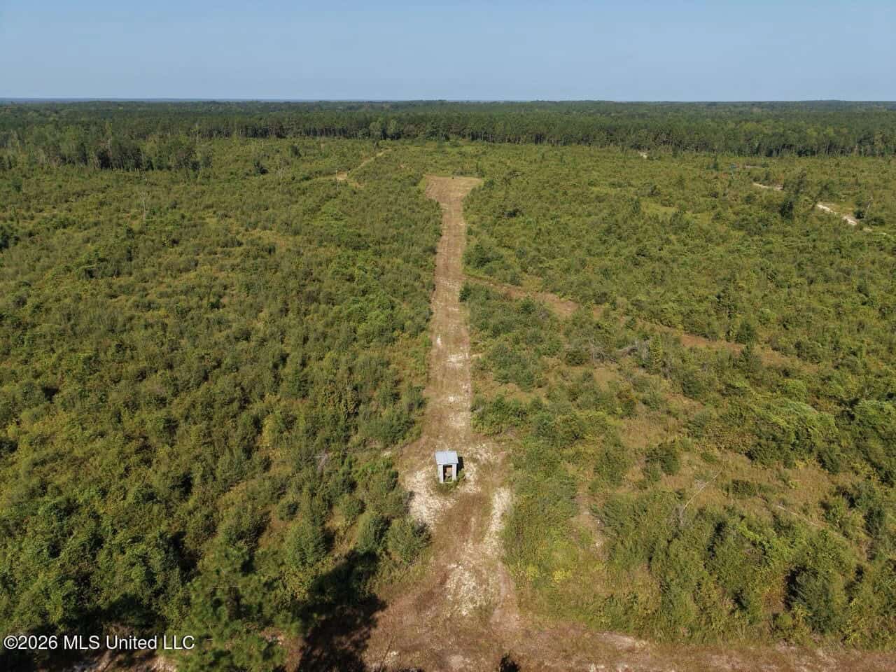 50± Acre Homesite & Hunting Land in Plainview, LA