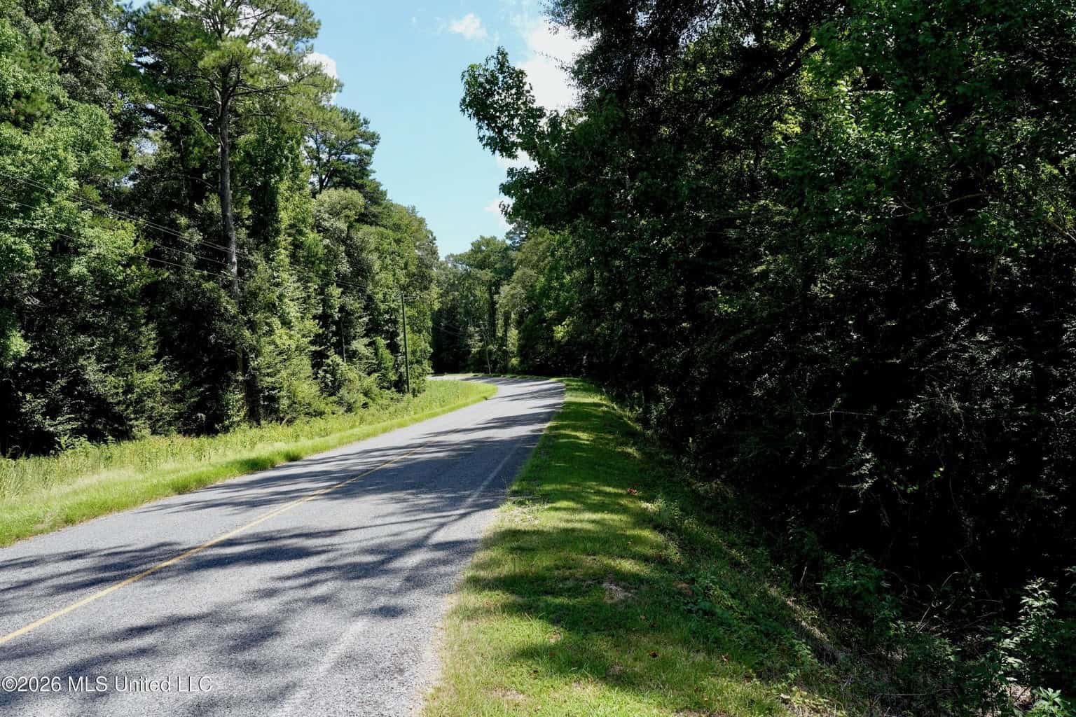 150 Acres for Sale in Magnolia MS on Tangipahoa River